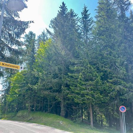 Tatry Ela Big Apartment Штрбскє-Плесо Екстер'єр фото